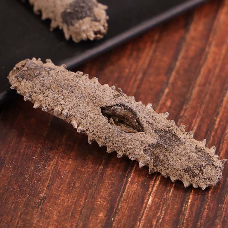 一德路批发无沙冲子参 淡干冲参 关东 关西 辽参刺参海参 20-60头