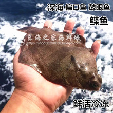 2斤装东海鼓眼鱼鲜活冷冻偏口鱼新鲜鲽鱼小嘴鱼黑皮鱼深海鱼海