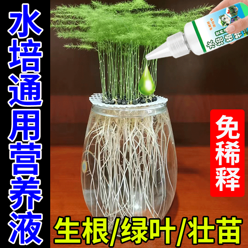 营养液植物通用型花肥发财树富贵竹绿萝水培盆栽家用花卉液体肥料