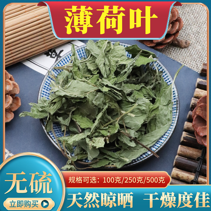 新鲜薄荷500g克中药材中草药薄荷叶薄荷干薄荷草薄何天然无硫包邮