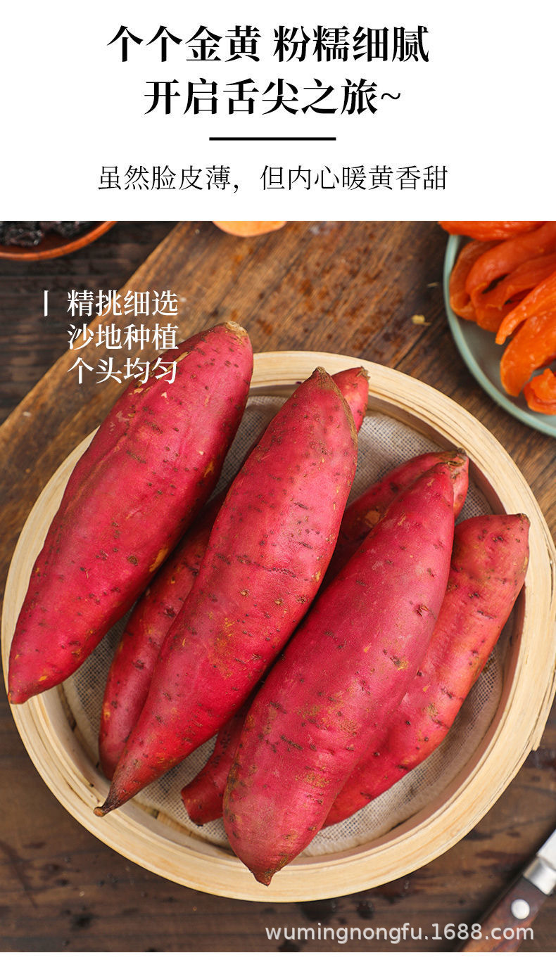 福建沙地六鳌蜜薯糖心番薯红薯新鲜超甜软糯无丝地3/5/9斤批发