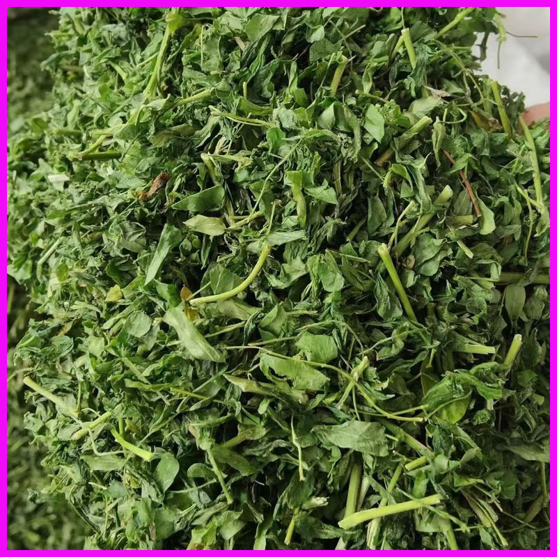 跑江湖地摊展销会相思茶 相思叶批发散装花草茶新货鸡骨草叶量大