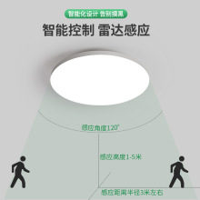 led感应灯楼梯灯吸顶灯过道楼道走廊感应雷达声控灯卫生间厨米柚