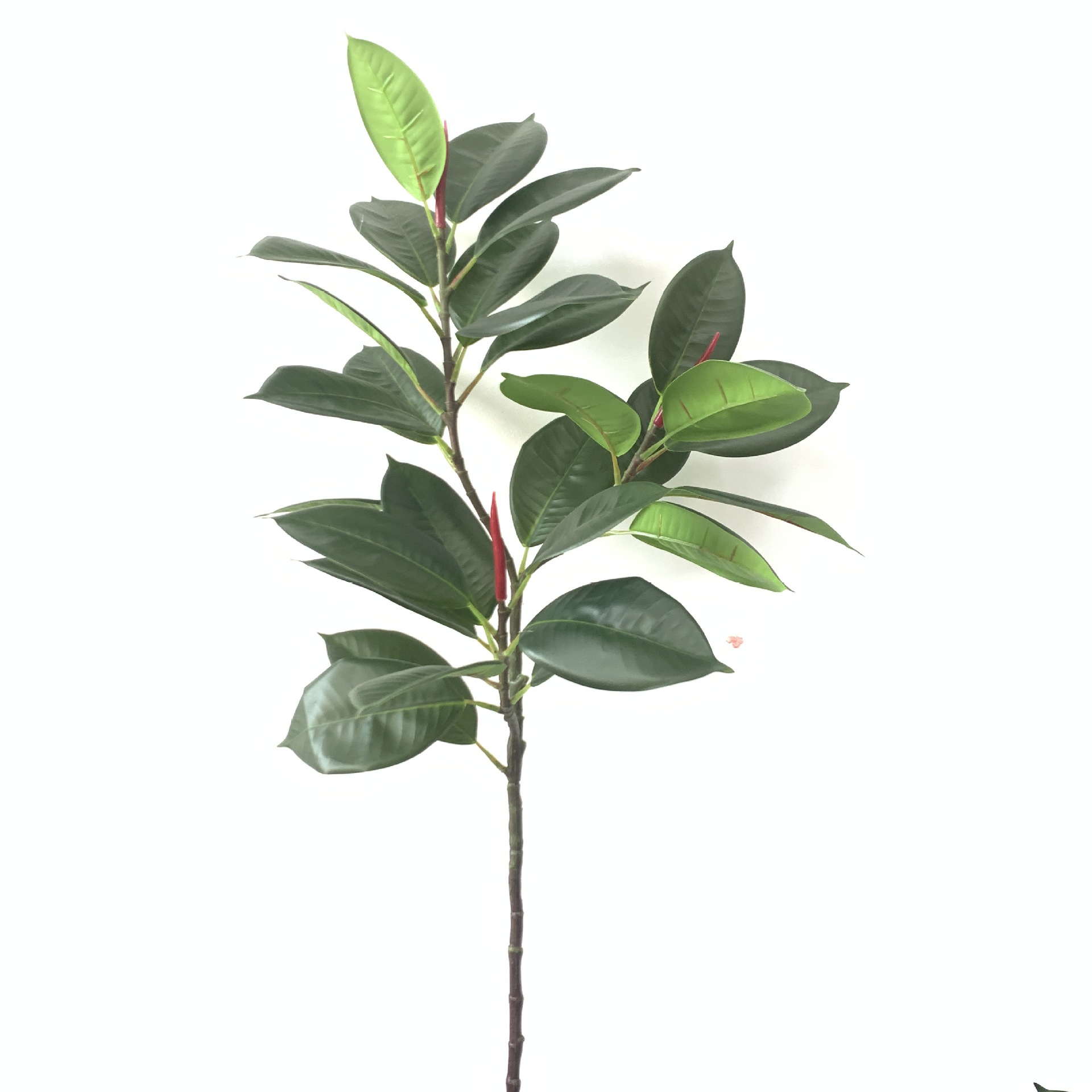 仿真橡皮树叶 黑金刚美国榕装饰橡皮树北欧假绿植盆栽摆件绿植