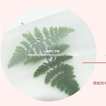 押花器手工diy干花制作工具材料压花板专用配件 干燥板吸水纸衬纸