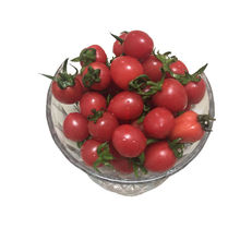 山东千禧圣女果5斤 农家特产千禧果酸甜可口樱桃小西红柿番茄水果