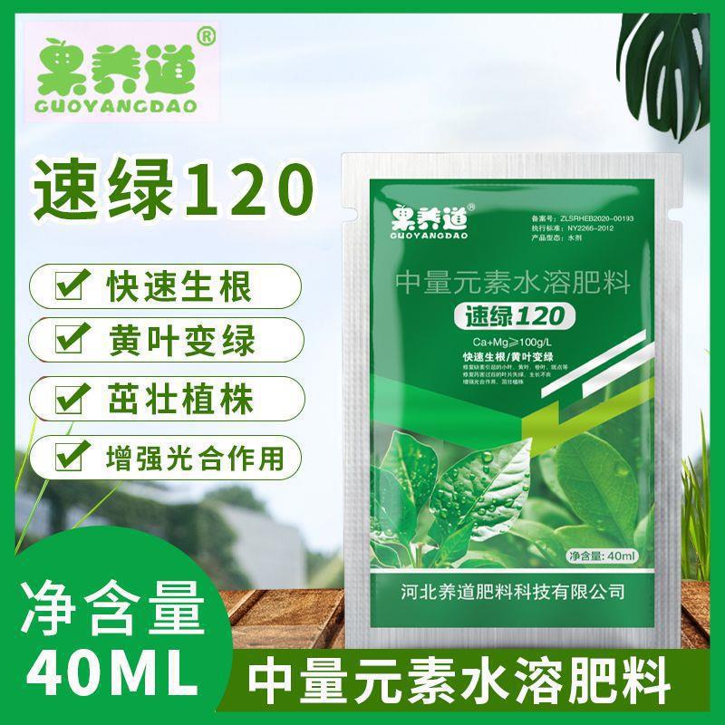 果养道速绿120黄叶变绿无烂根叶片增厚绿叶素真品叶面肥农药大全