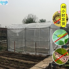 Plant Vegetables Insect Protection Net 60 Mesh Multiple跨境