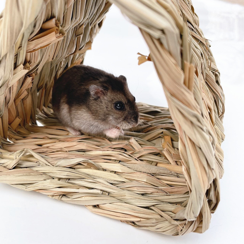 仓鼠躲避草窝草屋磨牙手工编织小宠草窝 仓鼠窝鹦鹉躲藏窝 鸟玩具