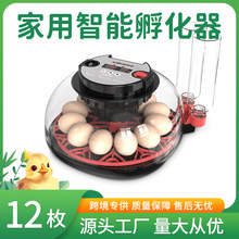 新款孵化器枚升级款温湿双显孵蛋器鸡鸭养殖设备孵化机