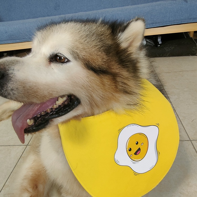 可自立宠物口水巾防水围兜中大型犬二哈阿拉金毛萨摩d系列-阿里巴巴