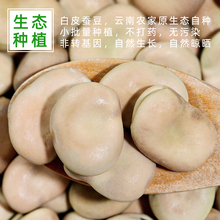 云南干白皮蚕豆5斤 今年新货的蚕豆罗汉豆散装农家自种蚕豆可发芽