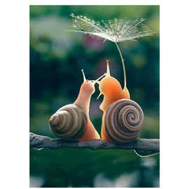 5d钻石画满钻 diy钻石绣 室内挂墙装饰画 新款爱情蜗牛厂家批发