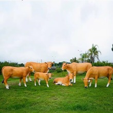 户外大型仿真写实黄牛动物雕塑摆件庭院公园林草坪玻璃钢装饰小品