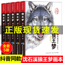 正版沈石溪动物小说系列全集狼王梦全5册小学生必读