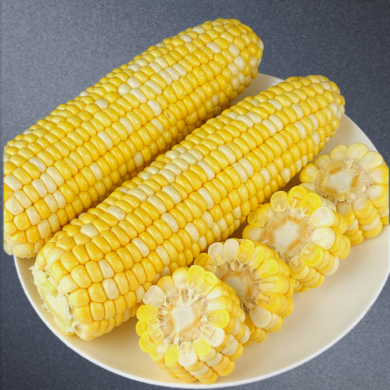 云南金银水果玉米新鲜爆浆甜蔬菜脆嫩苞谷棒现摘生吃即食糯粘10斤