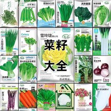 Seed Nine Vegetables North Seeds Dazi Raw Eight Vegetables跨