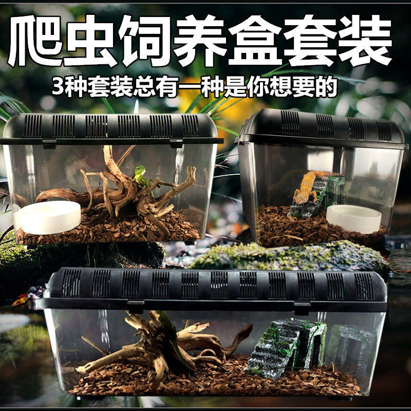 饲养箱蟋蟀箱子养殖蚕宝宝电报幼虫礼盒装玻璃蛐蛐儿昆虫盒-阿里巴巴