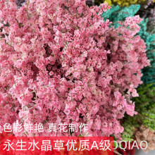 云南干花永生花水晶草真花基地厂家批发家居装饰插花diy手工材料