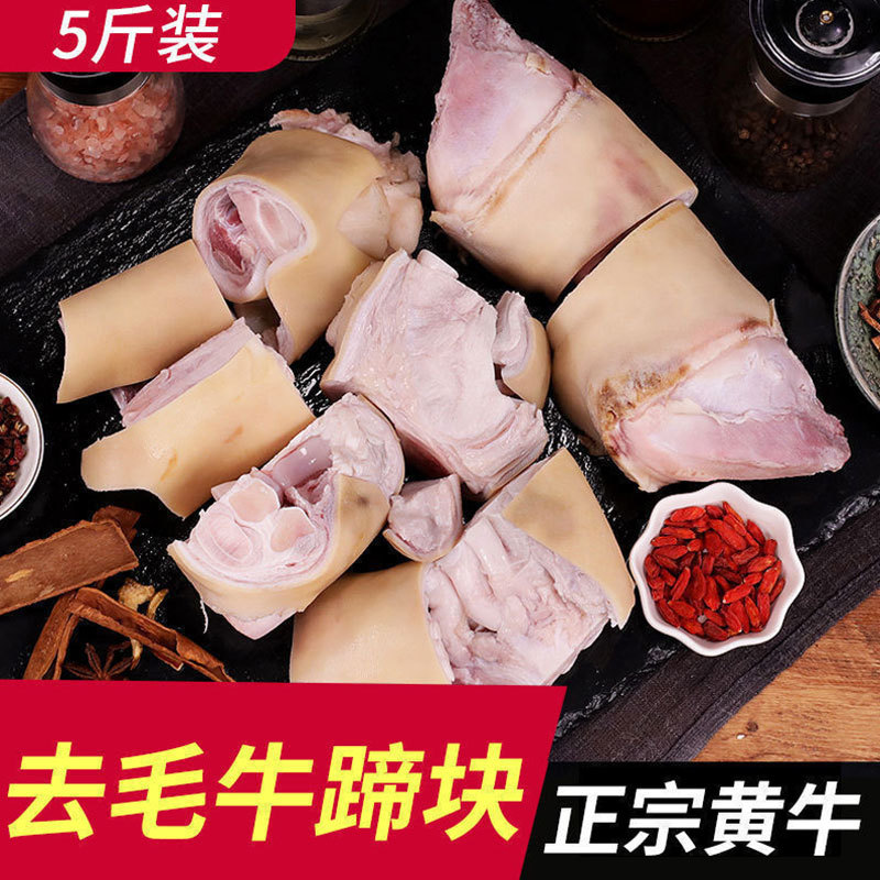 新鲜黄牛蹄生牛蹄子牛脚牛腿整根原切带筋骨炖汤红烧火锅烧烤食材