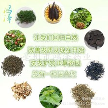 草本洗头包脱发乌发药材何首侧柏叶头疗药包中草药养发包批发