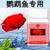 水族观赏鱼制剂锦鲤鱼鹦鹉鱼用白点白毛水霉掉鳞锦鲤金鱼水族用品|ms 水族观赏鱼制剂锦鲤鱼鹦鹉鱼用白点白毛水霉掉鳞锦鲤金鱼水族用品|ms