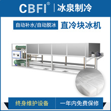 广州冰泉大型10吨直冷冰砖机 广泛应用于多行业 厂家直销