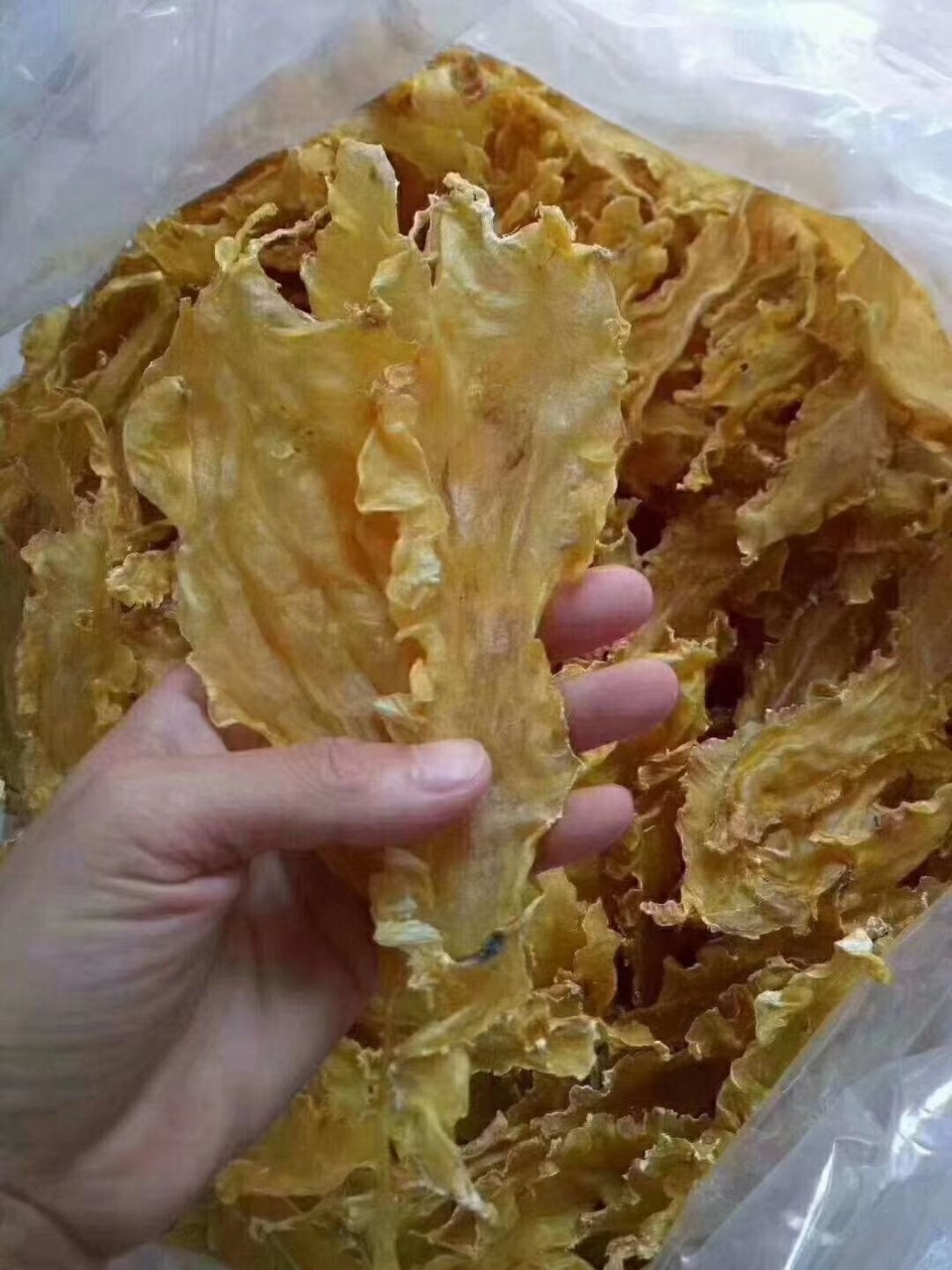 【冰岛深海鳕鱼胶】【鳕鱼胶】 新胶