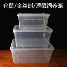 金丝熊笼子西班牙睡鼠饲养盒透明仓鼠小窝花枝鼠养殖箱睡鼠外带笼