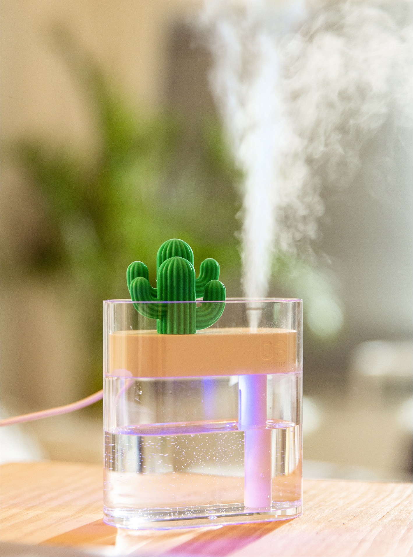 Sanhuo 319 Humidifier Cactus Transparent Household USB Interface Silent Bedroom Air Dormitory Small Desktop