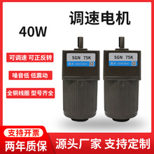 调速电机40W220V\380V齿轮减速机灌肠机5IK40RGN-C可调变速小马达