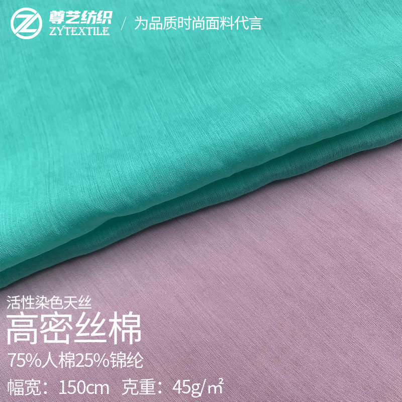 高密丝绵 天丝棉薄纱tr雪纺面料 汉服时装连衣裙人棉锦纶天丝面料