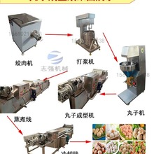 全自动萝卜鸡肉丸子机 商用 不锈钢淀粉实心丸子机 墨鱼丸成型机