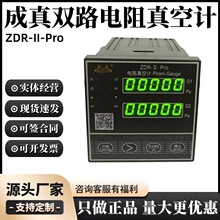 成真粗低真空测量仪器成都正华双路电阻真空计ZDR-II-Pro皮拉尼