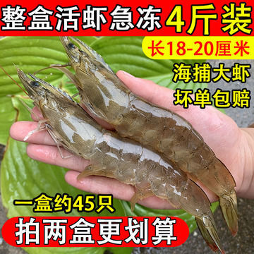 2030大虾鲜活新鲜冷冻海虾特大对虾青虾基围虾青岛海鲜水产-阿里巴巴
