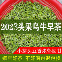 特级早春头采明前小芽头乌牛早龙井扁茶2023新茶嫩芽豆香型高档茶