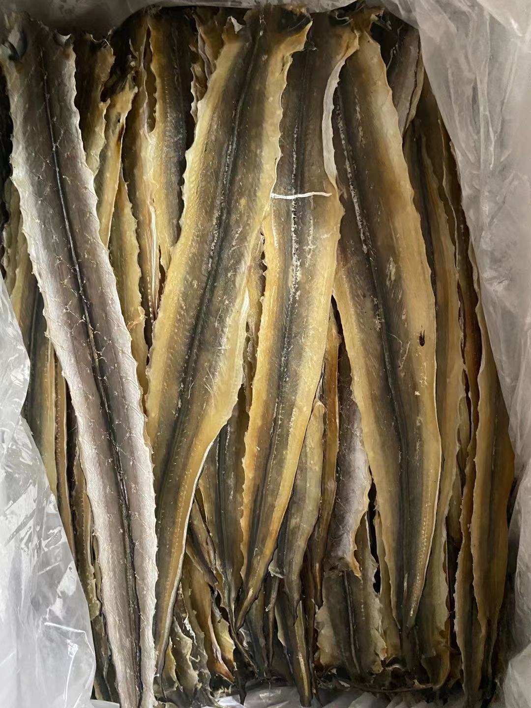 北海特产烧烤鳗鱼干手撕鳗鱼干芥末马步鱼干鳗鱼片500克海鲜批发