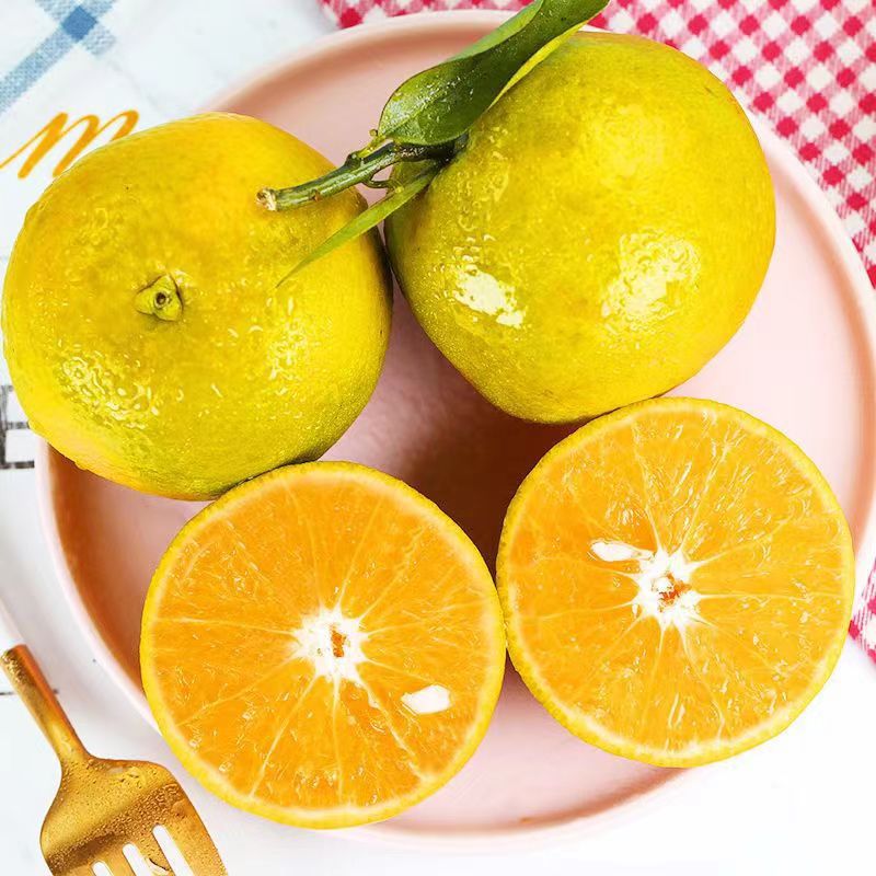 【云南香橙】-云南香橙厂家,品牌,图片,热帖-阿里巴巴