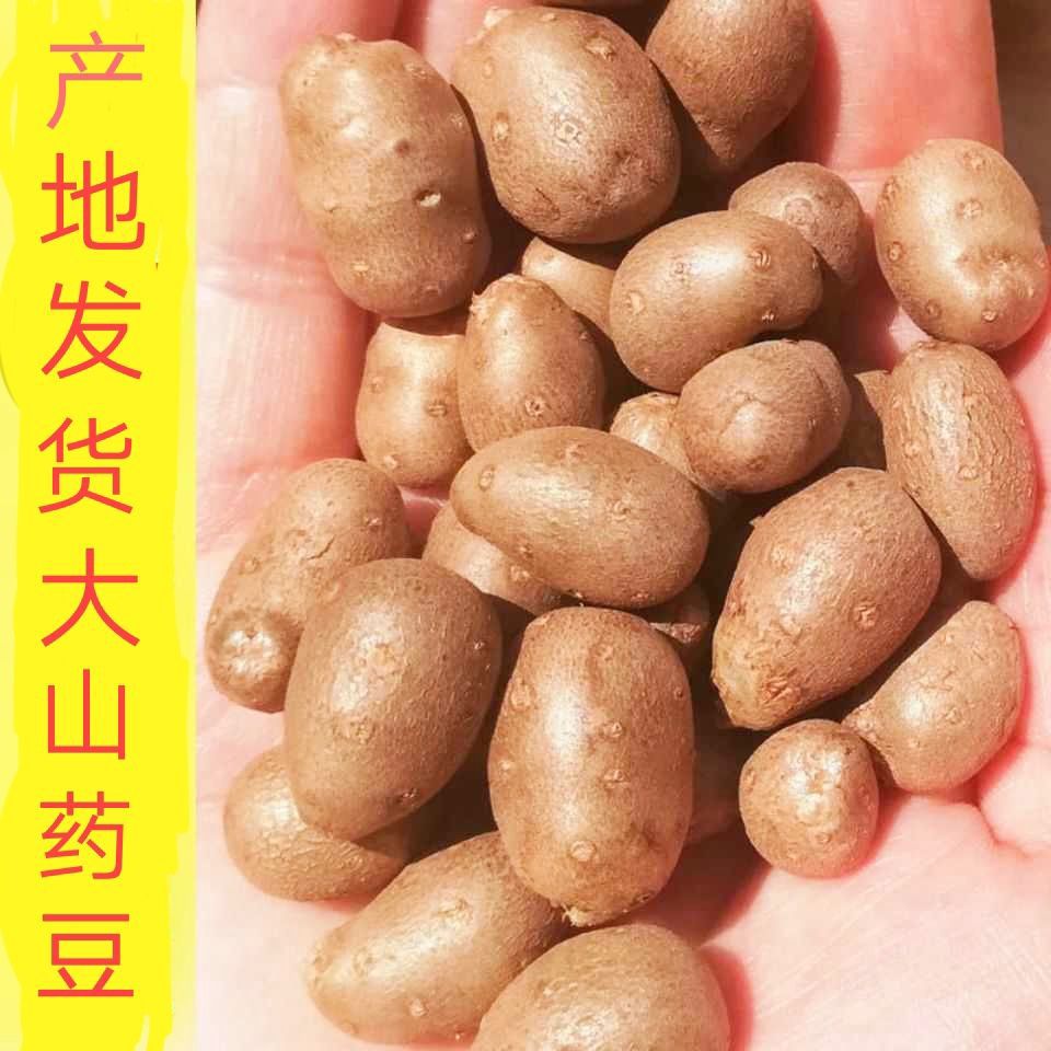 2020年河南商丘民权县王桥镇底庄村新鲜铁棍山药豆