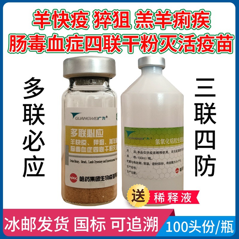 羊用多联必应羊疫苗三联四防羊快疫羊猝狙羊黑疫羊肠毒血羔羊痢疾