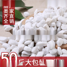 50斤装白色石子石头大鹅卵石庭院铺路铺地小白石头造景景观白石子