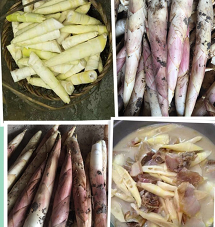 磐安特产新嫩笋干冬笋春笋干货天然日晒农家小笋煲汤泡发农产品