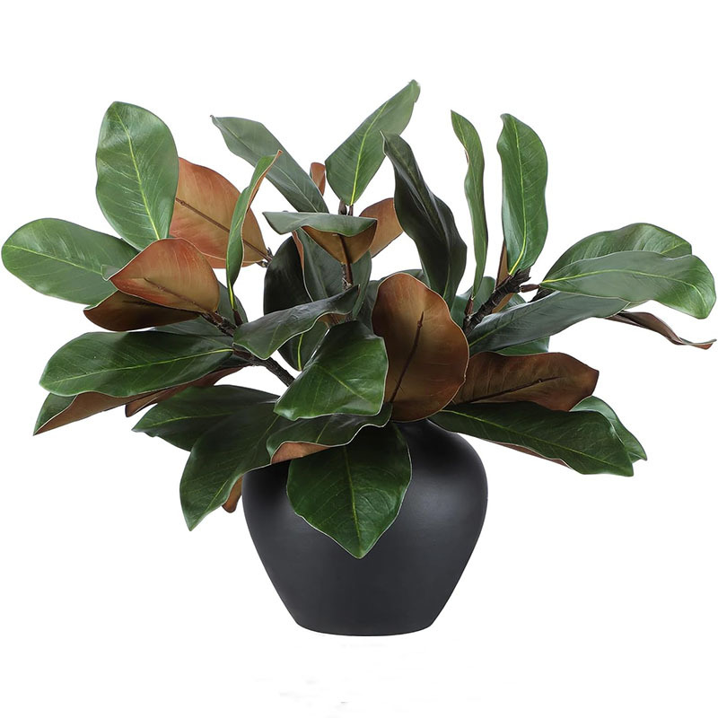 仿真玉兰叶现货批发仿真白碗花苞叶家居装饰假花玉兰枝跨境绿植