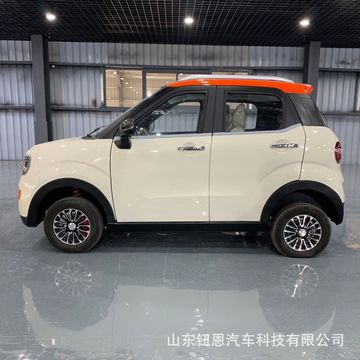 新能源电动汽车油电两用四轮电骄家用四轮电动车代步车老头乐