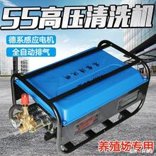 大型养殖场高压清洗机55型58型商用洗车机自吸感应220v380v全铜泵