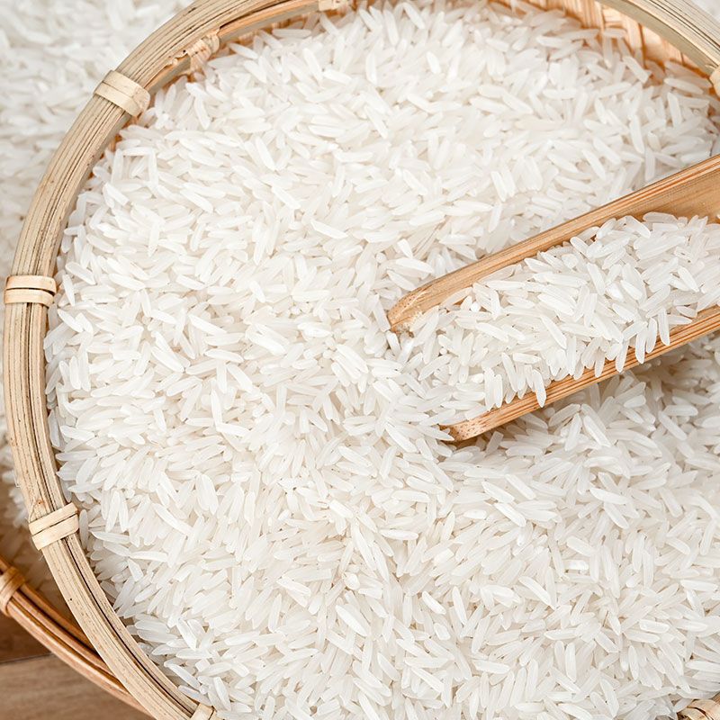 香米广西油粘米10斤长粒优质大米籼米宿舍猫象牙五常大米厂厂批发