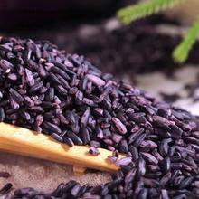 紫糯米5斤 黑糯米血糯米紫米 农家自产八宝饭原料五谷杂粮粗粮1斤