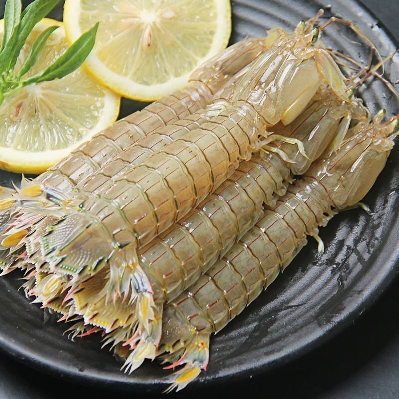 特大号皮皮虾虾爬子大海虾濑尿虾活虾鲜活熟冻冰虾虾菇虾婆海鲜