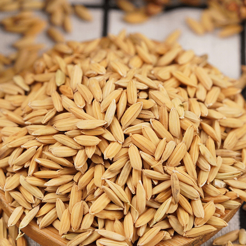 水稻稻谷带壳稻子带壳大米水稻粮食喂鸡鸭鹅鸽子鸟食饲料-阿里巴巴