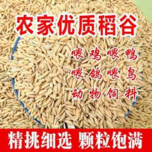 鸡饲料颗粒新稻谷鸡鸭鸽子宠物饲料便宜带壳稻谷鸭料增肥一件批发